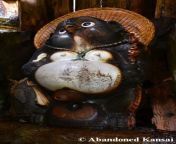 Not only does this Tanuki have a big boner, it is also located in the women only outdoor bath of a now abandoned hotel. from only aunty bath