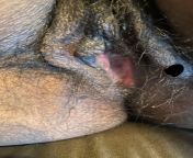 Hairy pussy fucked! from desi wife hairy pussy fucked