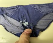 Sexy, shear panties from babestationbsx studio presti sexy vedoe