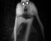 Hope this is the right subreddit, finally got a picture of the rake again creeping in my yard. Spooked it as soon as my camera flashed hoping for some advice as to how to kill this peeping tom harassing my family from peeping holes keshikaran