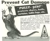 Prevent Cat Damage, Pussy Scat, Sudbury Laboratory, 1936 from sudbury suffolk