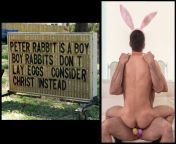 Peter Rabbit is a boy. Boy rabbits don&#39;t lay eggs. Says who ? from peter rabbit rule34