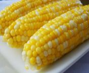 Corn from corn island