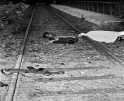 1994 Falun shooting crime scene photo, Mattias Flink killed 7 and injured 3. June 11, 1994. from 言えないよ　郷ひろみ（1994 oa）