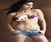 Shriya Saran Hot Navel from south indian actress namita sex videoctress shriya saran hot nude