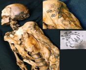 The Siberian Ice Maiden, or the Princess of Ukok, is a female mummy with tattoos from the 5th century BC. Republic of Altai, Russia. from kropochkin siberian