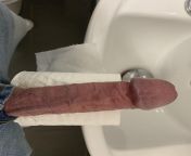 Penis vs toilet roll from malayali penis vs vagina