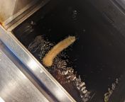 Owning a chippy can be a funny old game. from chippy sex