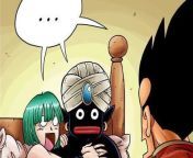 I think Bulma should have married Mr. Popo from popo
