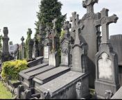 The Campo Santo Cemetery (opened in 1847) in Sint-Amandsberg, a section of Ghent, Belgium. It sits in the center of town, on top of a hill, along side a beautiful Catholic Cathedral. from 太仓市约少妇约炮服务123约妹網址▷vm22 cc125太仓市约少妇约炮服务 太仓市小妹外围女小妹外围女 太仓市找漂亮小姐哪里有服务 1847