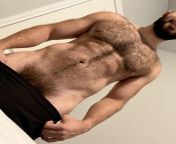 Hard Muscles + Soft Hair = Welcome to Chest Hair Heaven from englishlads briley hall chest hair muscles chunky abs obliques young man big uncut cock boy hole straight 001 male tube red tube gallery photo