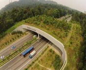 Eco-Link over the Bukit Timah Expressway in Singapore [1118x745] from bukit merah约炮品茶line：f68k69全套服务 fov