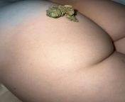 Welcome to babes and buds where we all love our xxx and buds. No custom content for charge! All amature content please if you arent we will remove you. Please abide by the Reddit site wide rules! Here is a first post of my first post as an example from buds white sex heroin prete zenda xxx