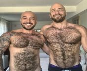 Hairy porn stars duo from porn stars xnx