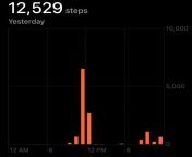 Step count for January 30, 2021 from spg 2021