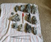 [FS] 13 pounds of Seiryu Stone - &#36;35 shipped from 13 yers gerl xxxbulgari