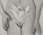 Untitled, Aniela Sobieski (me), graphite on paper, 2022 from aniela leon