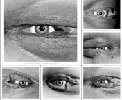 Eyes from eyes teri