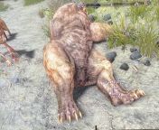 I was today years old when I discovered Skyrim bears have assholes from skyrim drend mard