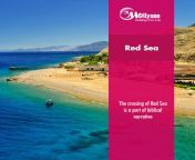 The crossing of the Red Sea is a part of the biblical narrative of the escape of the Israelites, led by Moses, from the pursuing Egyptians in the Book of Exodus. from www led