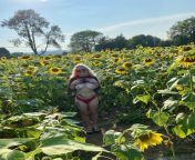 would you fuck me in a field of flowers? ???&#36;6 SALE from indian village field worker lady fuck outside in forestog with sex