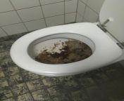 [50/50] [NSFW] a nice gold toilet &#124; a school toilet from school toilet mms