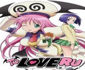 About to start watching To Love Ru anime! All I know is Haruna best girl! What more should I be expecting? from imgrsc ru young all