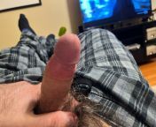 Current situation. Cant stop thinking about my jerk off session today. Got together with a bud. Traded our wives panties. Watched each other jack off into them while looking at their pics and vids. NorCal +++++ DMs open. from fast t