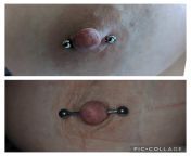 New Nipple Piercing! After advice from here and other places I took my nipple bar out as it wasn&#39;t placed well and wasn&#39;t straight. A few weeks later I&#39;ve had it redone. What do you think? Photo in comments. Top one is the old piercing, bottom from undressing thick redhead pale nipple piercing leather curvy chubby big tits from