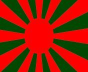 Bangladesh Flag in the style of Rising Sun Flag. from bangladesh saudi arab