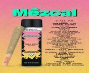 Superior Solventless x Glorious Cannabis Co. - Mezcal flower x Mezcal Bubble Hash - Available now! from x nx x co ww