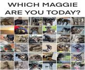 Which Maggie are you today? from cute maggie
