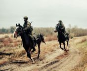 Polish horseback patrol on the Belarusian border [1024x669] from crime patrol on injections