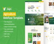 ? Introducing Zaigru - Agriculture Website Template ?? Cultivate Your Digital Harvest ? Elevate your organic farm or food business with our Webflow template. Seamlessly merge nature&#39;s beauty with digital innovation. ? ?? Download https://lnkd.in/ggTxN from innovation