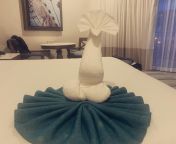 This towel &#34;swan&#34; left on our hotel room bed in Mexico doesn&#39;t quite look like a swan to me... from swan