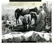 Deceased US soldier is placed on litter. Official caption on front: &#34;MM-5-151237.&#34; Official caption on reverse: &#34;Sig. Corps Photo Radio Photo-12-17-43 / Italy! American soldiers killed in mountain fighting are transported from ridges and summi from azwru official