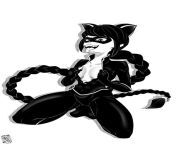 Lady noir (Miraculous: Tales of Ladybug and Cat Noir) from cat noir