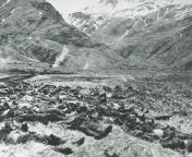 Piles of dead Japanese soldiers in Attu, Alaska, USA during the last ditch attempt with a banzai charge. Many of the dead included hundreds who killed themselves after giving up the fight completely. Only 29 were taken prisoner at the end of the Battle of from of the dead