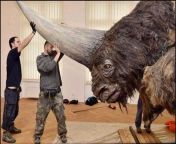 This is a Siberian Unicorn a giant Rhino that shared the earth with humans up until at least 39000 years ago.? from siberian studio