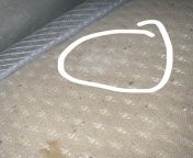 Cocaine dried into mattress anyway if snorting it still from cocaine