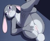 Anyone want to be catfished by judy hopps? from judy hopps vore