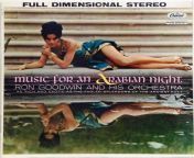 Ron Goodwin- Music For An Arabian Night(1959) from trudie goodwin