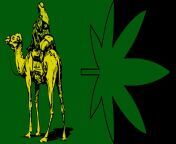 A flag with the Silk Road logo I saw once, Silk Road was an old site where you could buy drugs anonymously. from silk snitha