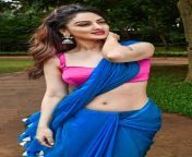 Sandeepa Dhar navel in saree from girls in saree bl