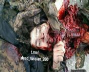 One of the worst ones Ive seen. A Russian soldiers eviscerated corpse is photographed by a Ukrainian soldier. I cant tell if a blast blew him to pieces of if animals feasted upon his corpse. Perhaps both. from corpse