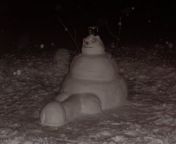 Tom Vasel made a dragon snowman in a super real park in Florida from real park s