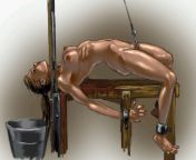The Guillotine (aka angry french sex toy) useful for having a good time but not necessarily a long time from the guillotine headless prey