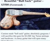 (NSFW) A small price to pay for a ball sack guitar from movie pay