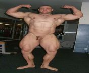 Naked bodybuilder - beefymuscle.com from adeline ambros naked xxnx vodes com