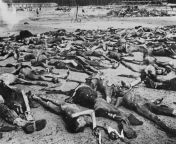 The bodies of prisoners of the Bergen-Belsen concentration camp on the parade ground before burial. April 1945. from brown eyeds ash on the sports ground